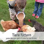 Bio Wichtelweide - Rosmarin