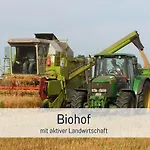 Bio Wichtelweide - Rosmarin * 페마른
