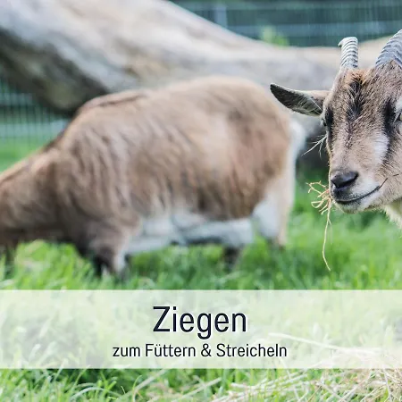 Bio Wichtelweide - Rosmarin Apartament Fehmarn