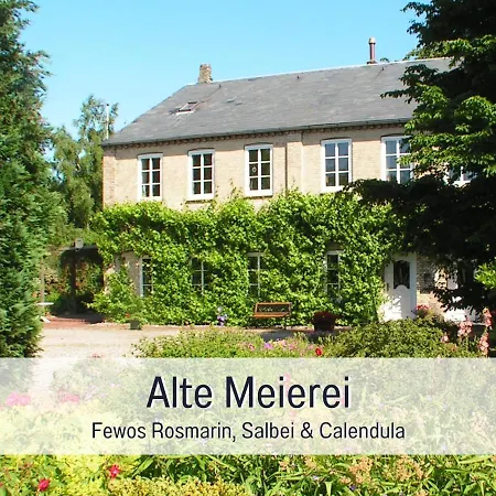 Bio Wichtelweide - Rosmarin Fehmarn