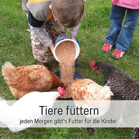 Bio Wichtelweide - Rosmarin