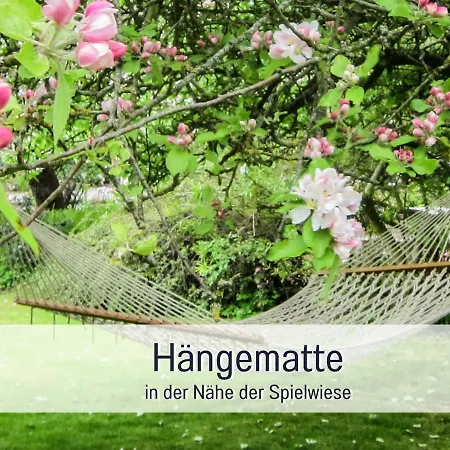 Bio Wichtelweide - Rosmarin