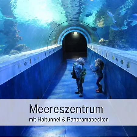 Bio Wichtelweide - Rosmarin