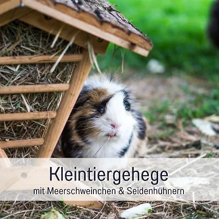Apartment Bio Wichtelweide - Rosmarin *