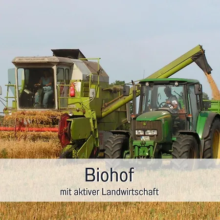 Bio Wichtelweide - Rosmarin * Fehmarn