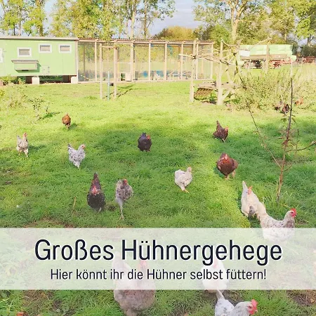 Bio Wichtelweide - Rosmarin Apartment Fehmarn
